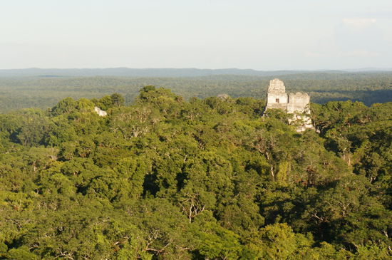 Blick über Tikal
