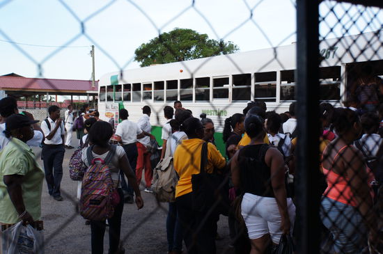 Wer schafft es einen Platz zu ergattern? Leider war ich zu spät mit meiner Kamera, um festzuhalten, wie sie von außen durch die Fenster klettern!