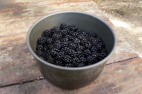 Brombeeren so viele wie das Herz bzw. der Magen begehrt