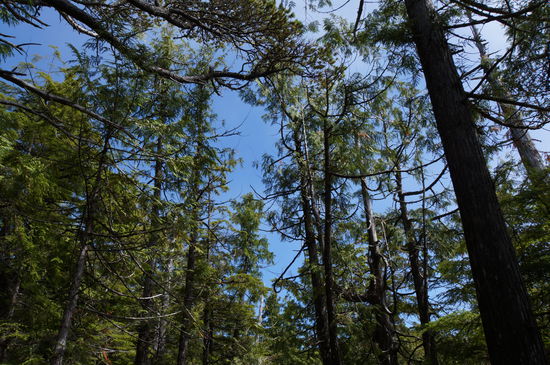 500 Meter weiter Bluebird Sky!