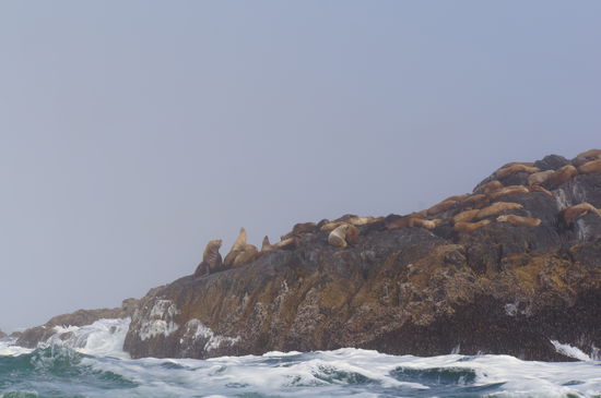 Nachmittagsschläfchen