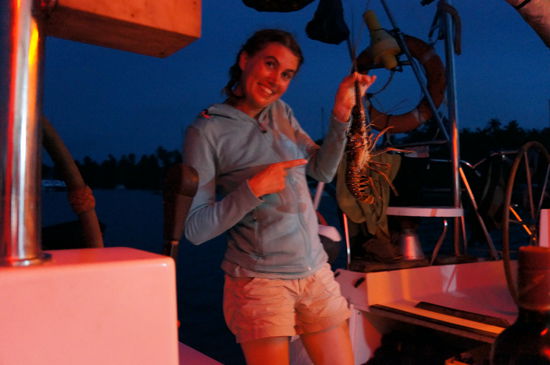 Noch lebt er, der Lobster!