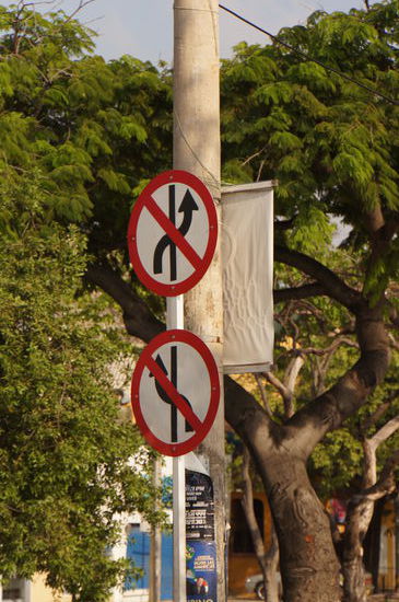 immer schön in der Spur bleiben!