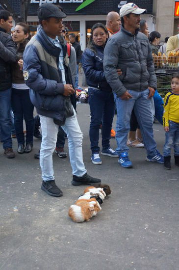 Auf die Plätze, fertig, los!