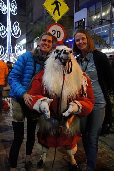 Ho, ho, ho! Von weit von den Andenbergen komm ich her, ich sage euch, es weihnachtet sehr!