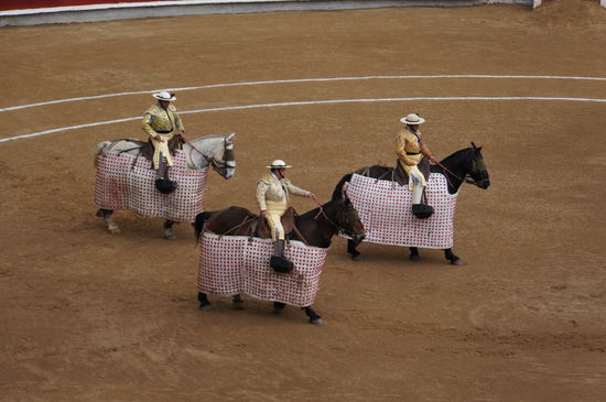 Reiter mit abgepolsterten Pferden