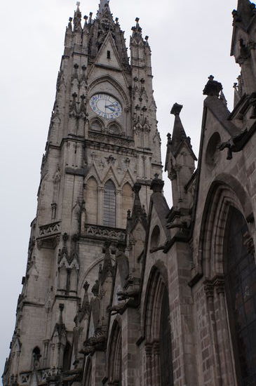 Von Delfinen bis Schildkröten gibt es alles was die Tierwelt zu bieten hat!