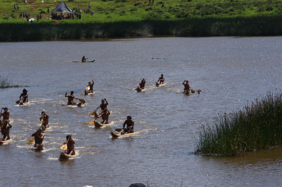 An die Stechpaddel und los!