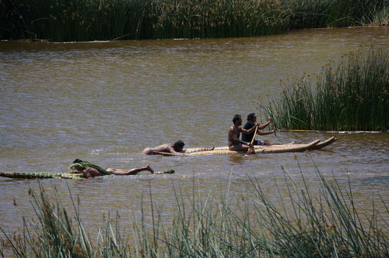 Jeder kam ans Ziel, auch wenn er die letzten Meter gezogen werden musste!