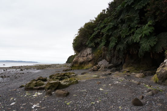 Die Küste von Achao