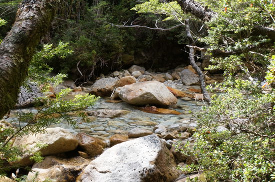 glasklarer Fluß am Wegrand