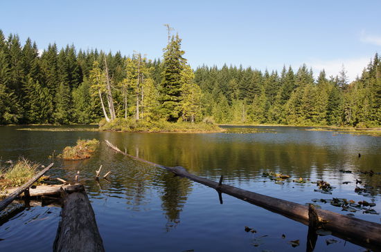 Lake Trail bei Squamish