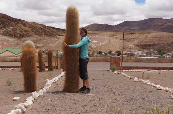Auch Kakteen wollen umarmt werden!