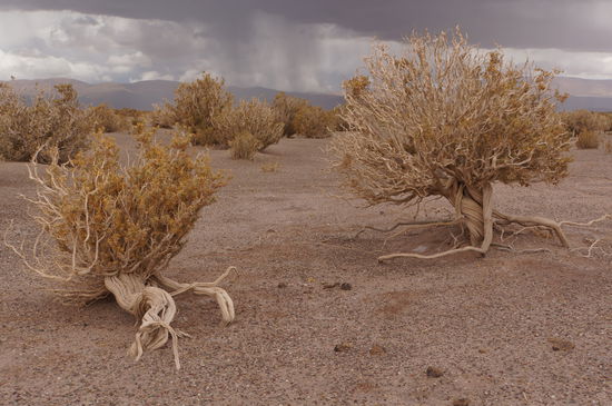 Und schon ist der Regen sichtbar