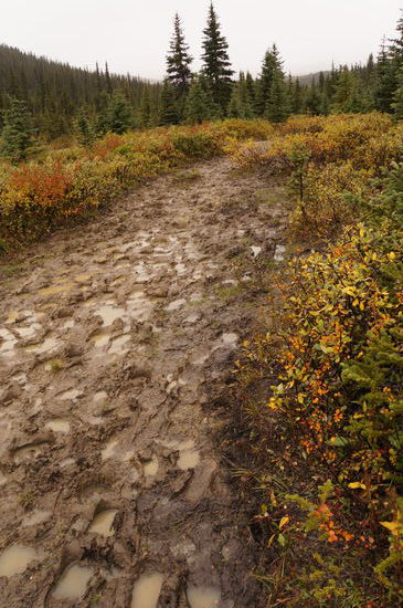 Matsch, einfach nur Matsch und das ist nicht mal die schlimmste Stelle!