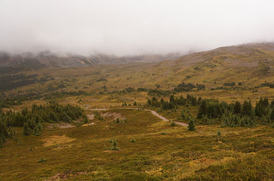 Tonquin Valley