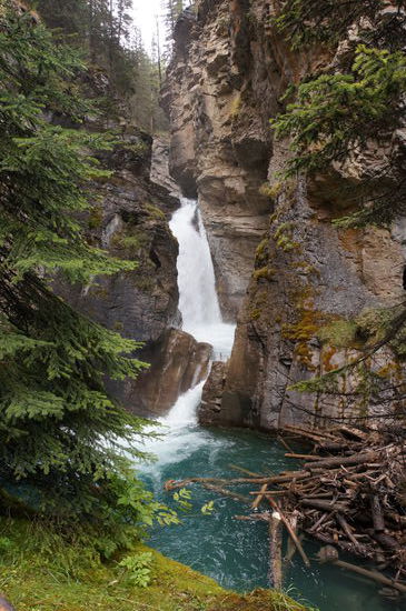 Lower Fall im Johnston Canyon