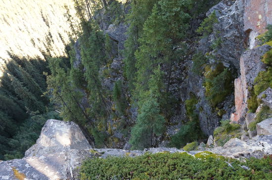 Und darum heißt das Ganze World Edge