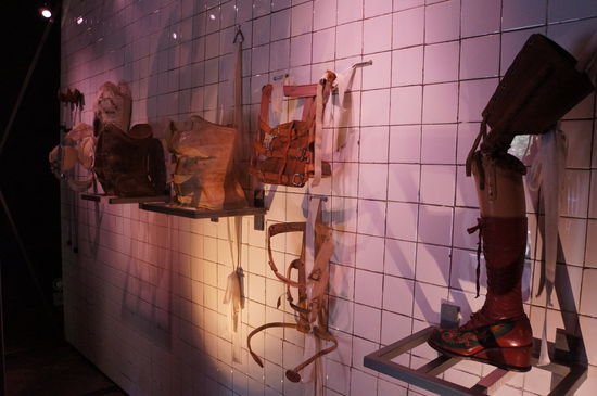 Das Leid der Frida Kahlo