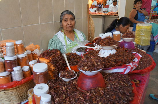 Frittierte Grasshüpfer