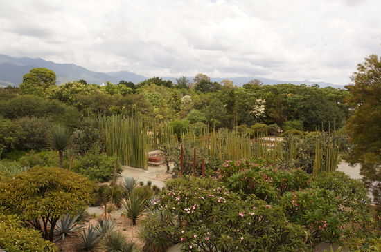 Blick auf den botanischen Garten