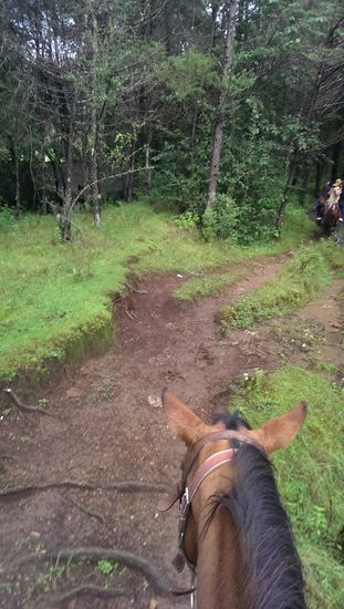 Der Weg ins Ungewisse