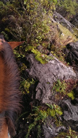 Über Stock und über Stein....