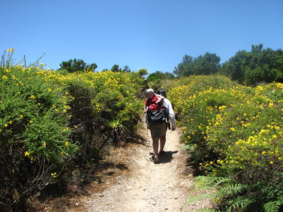 Der mühsame Aufstieg.