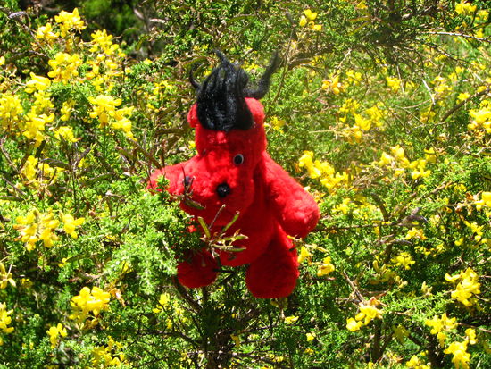 So fand man mich am Wegesrand. Ich hing da, wie weggeschmissen.