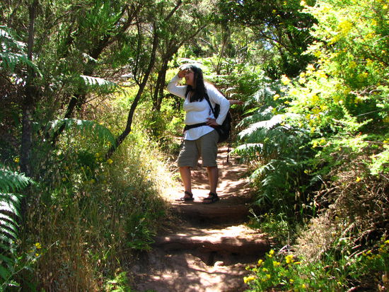 Gefahr!!! Tiger in Sicht....