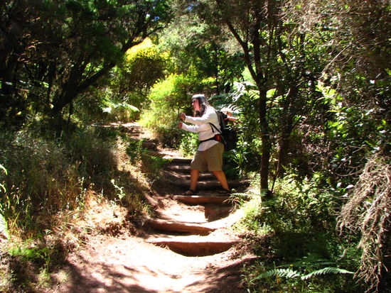 .....doch ich konnte ihn mit meinem Kampfgebrüll vertreiben!