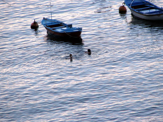 Mascha und Lili beim Morgensport in den kalten Fluten des Atlantiks.