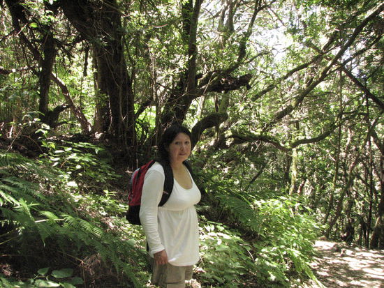 Lili: "Ich glaub`ich bin im Wald!"