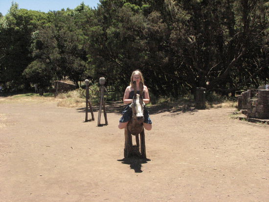 Esel auf Holztier (La Laguna Grande)