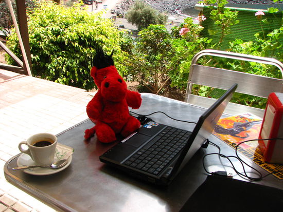 Ich, Eure fleißige Trude beim Schreiben.
Natürlich im Cafe beim Kaffee (mit Baileys)