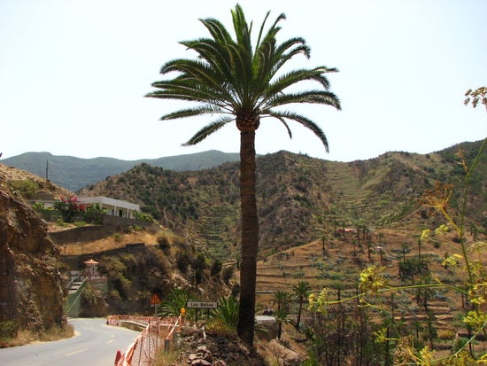 Das Ortsschild "Los Bellos" bei Vallehermosso