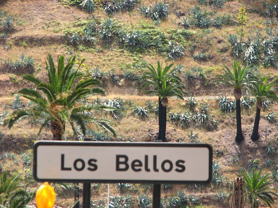 Hier die Vergrößerung