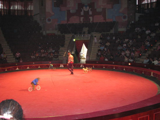 Fahrrad fahrende Affen im Zirkus
