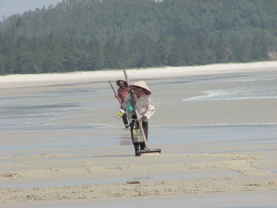 Muschelsammlerin auf Quan Lan