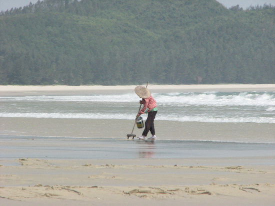 Muschelsammlerin auf Quan Lan