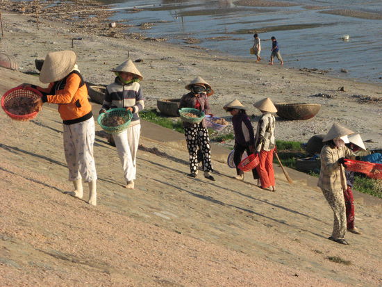Frauen beim Trocknen kleiner Krabben in Mui Ne