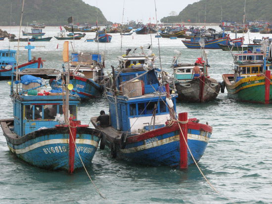 Schiffe in Ben Dam auf Con Dao