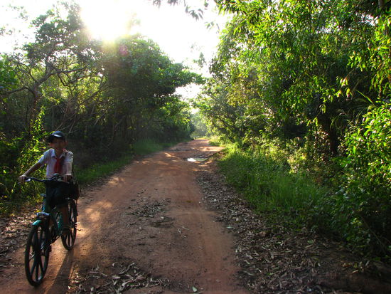 Irgendwo auf Phu Quoc