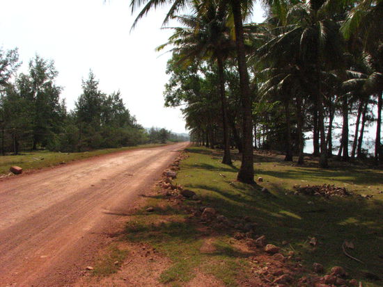 Straße am Longbeach