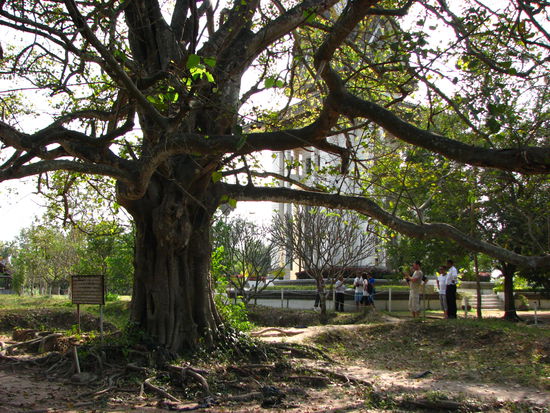 Choeung Ek  (Killing Fields)