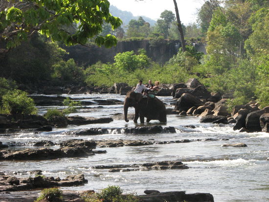 Elefantenreiten in Tad Lo.