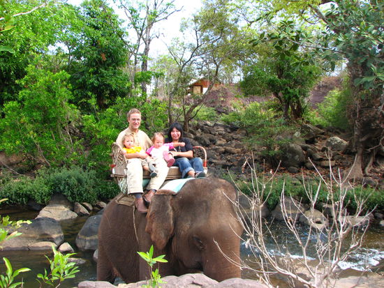 Touristen beim Elefantenreiten.