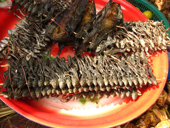 Leckerbissen - aufgespießt, lecker zubereitet und mausetot!
