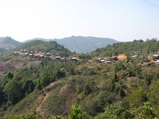 Dorf mit Teeplantagen, Ban Komaen