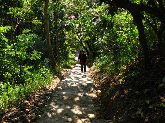 Aufstieg auf den Phou Fa (Phongsali)